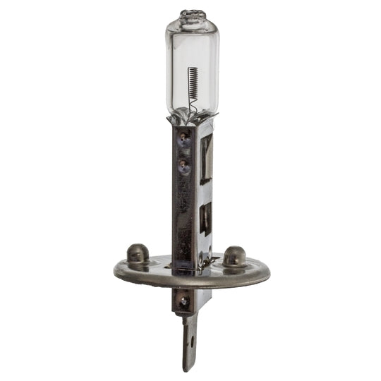 Febi Bilstein Bulb, fog light to suit Ford, Audi, VW