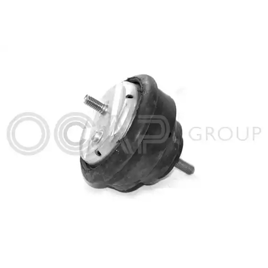 Ocap Engine Mounting to suit BMW