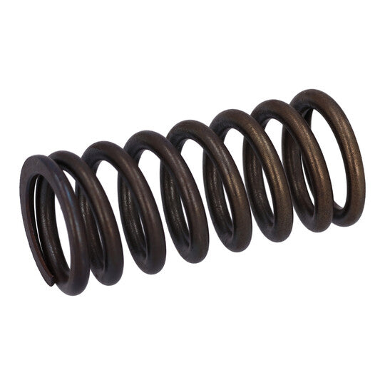 Febi Bilstein Valve Spring to suit Daf