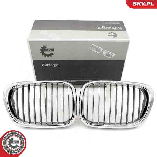 Esen Skv Radiator Grille to suit BMW
