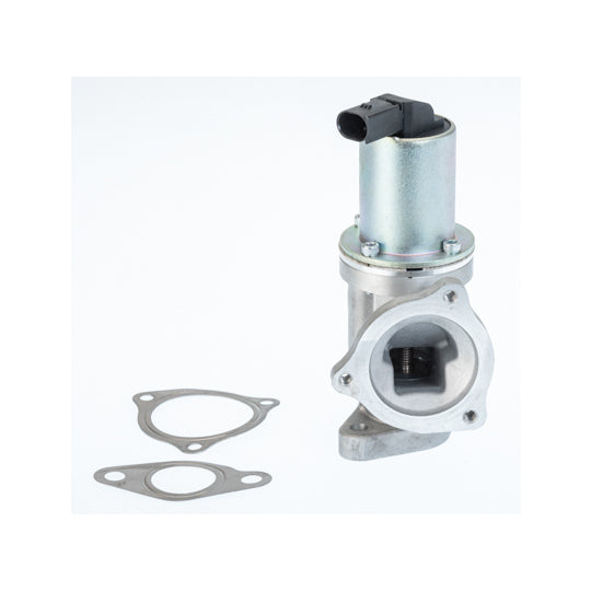 Borgwarner (Wahler) EGR Valve to suit Hyundai, Kia, Hitachi