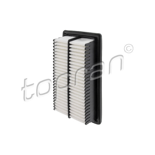 Topran Air filter to suit Hyundai