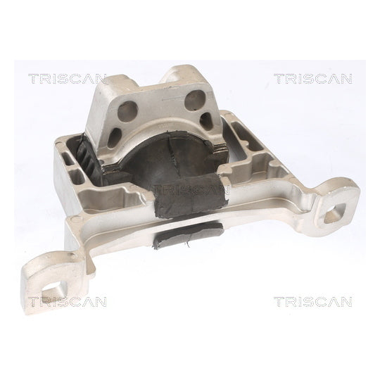 Triscan 8505 10105 Mounting, engine to suit Ford, Volvo