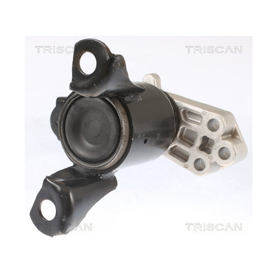 Triscan Mounting, engine to suit Ford
