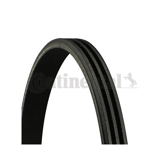 Continental Ctam V-Ribbed Belt to suit Toyota, Honda, Rover