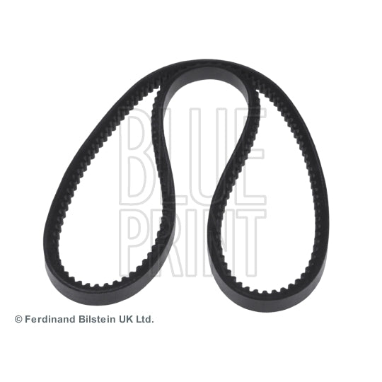 Blue Print AD13V1025 V-belt to suit Mitsubishi, Land Rover, Proton