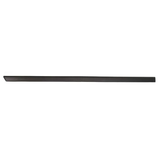 Blic 5703-04-2564575P Trim/Protective Strip, door to suit Ford