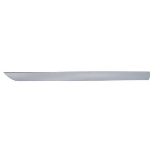 Blic Trim/Protective Strip, door to suit Ford