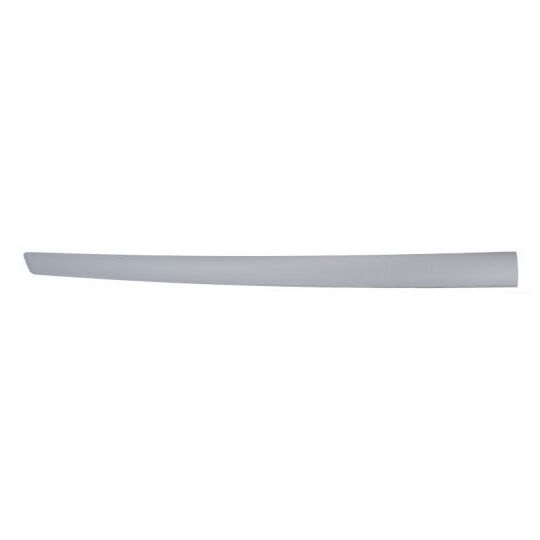 Blic Trim/Protective Strip, door to suit Ford