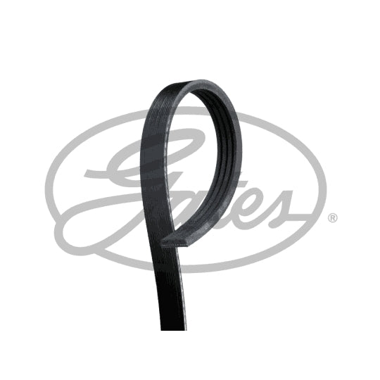 Gates V-Ribbed Belt to suit Ford, Cummins