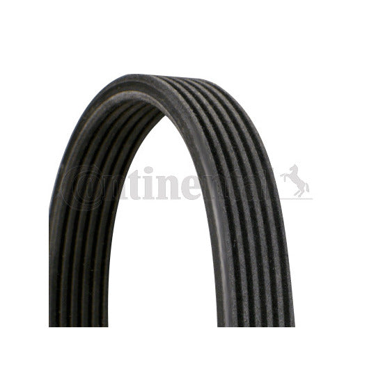 Continental Ctam V-Ribbed Belt to suit Ford, Audi, VW