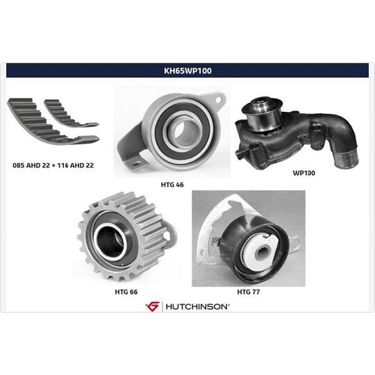 Hutchinson Water Pump & Timing Belt Set