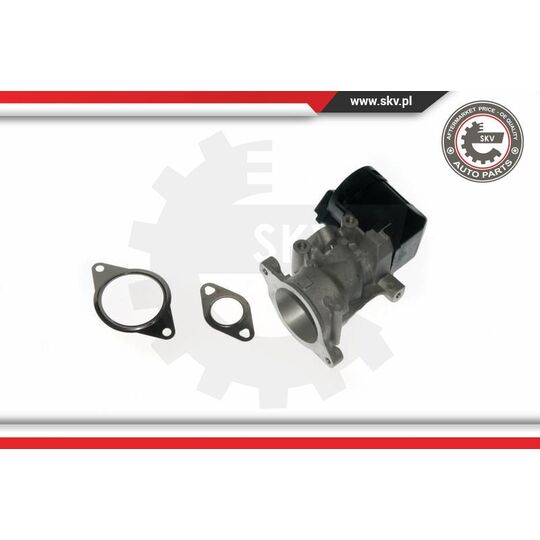 Esen Skv EGR Valve to suit Ford, Peugeot, Citroën