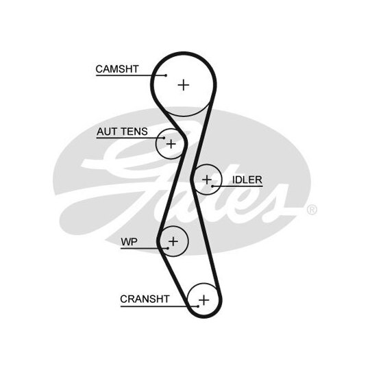 Gates Timing Belt to suit Mitsubishi, Ford, Peugeot