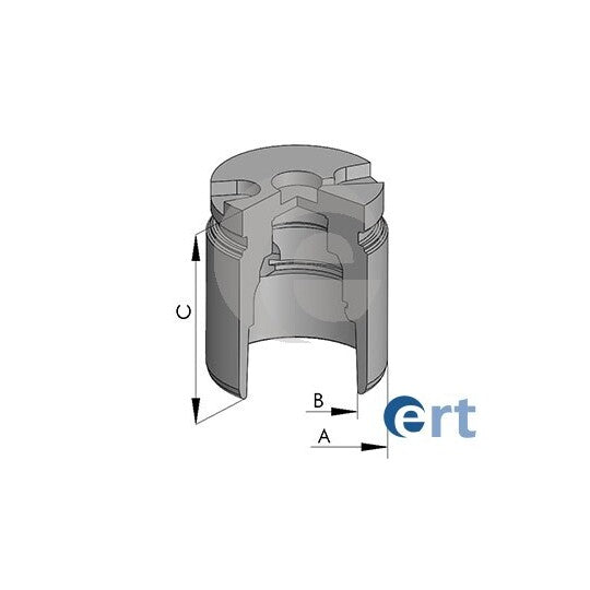 Ert Piston, brake caliper