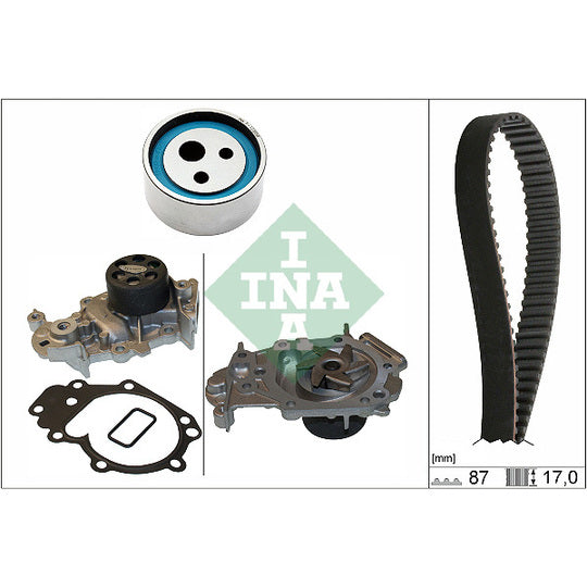 Ina Water Pump & Timing Belt Set to suit Renault