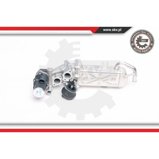 Esen Skv EGR Valve to suit Audi, VW, Hitachi