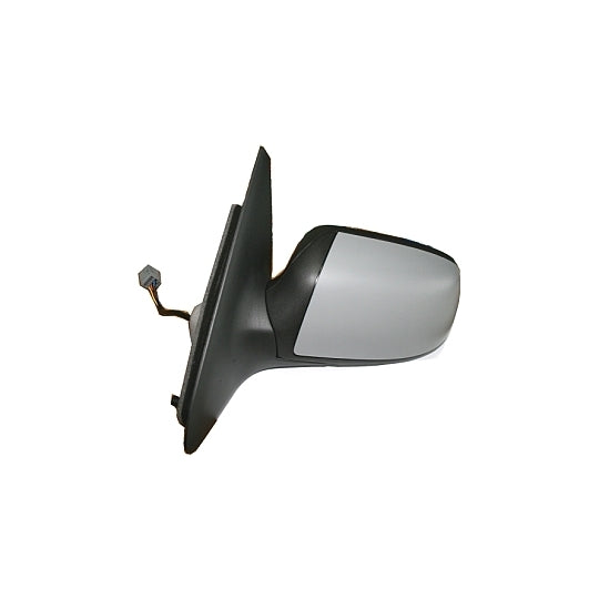 Depo Outside Mirror to suit Ford
