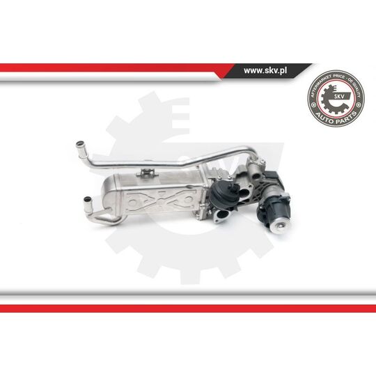 Esen Skv EGR Valve to suit VW, Hitachi, Seat