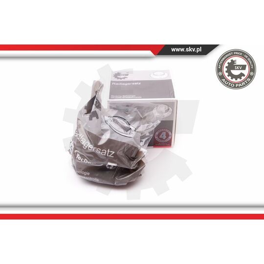 Esen Skv Wheel Bearing Kit to suit Ford