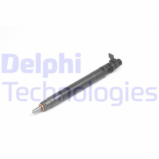 Delphi R00101DP Nozzle and Holder Assembly to suit Ford, Peugeot, Citroën