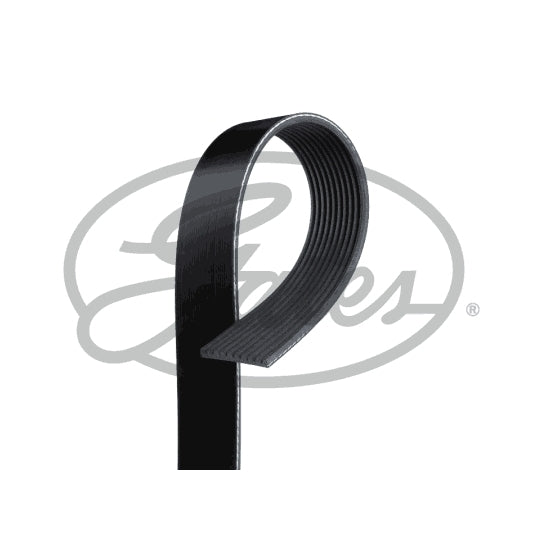 Gates V-Ribbed Belt to suit Mercedes-Benz, Scania