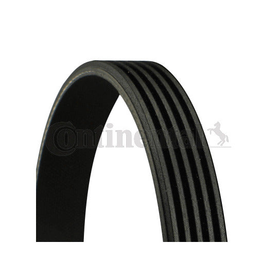 Continental Ctam V-Ribbed Belt to suit BMW, Fiat, Renault