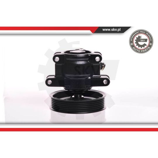 Esen Skv Hydraulic Pump, steering system to suit Ford