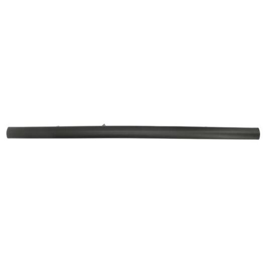 Blic Trim/Protective Strip, bumper to suit Ford