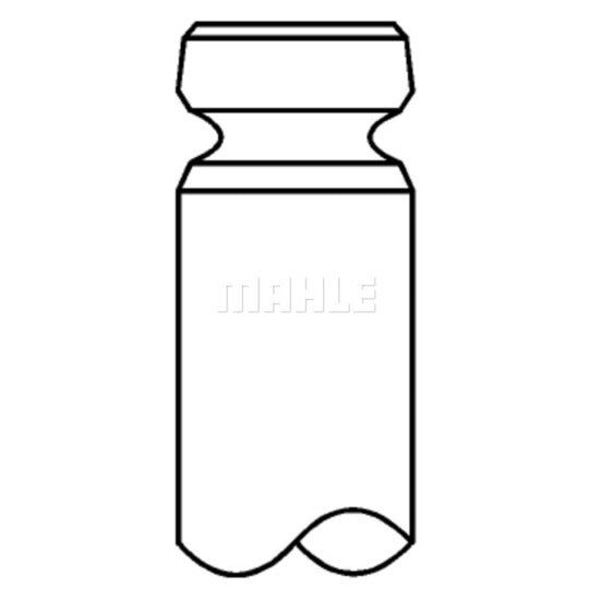 Mahle Inlet valve