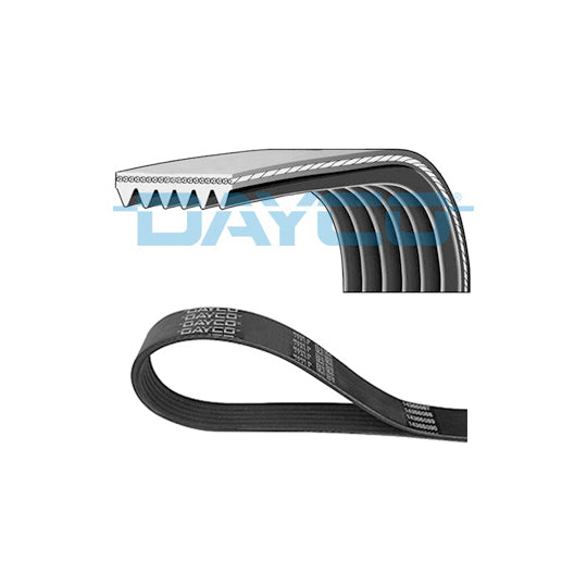 Dayco V-Ribbed Belt to suit Ford