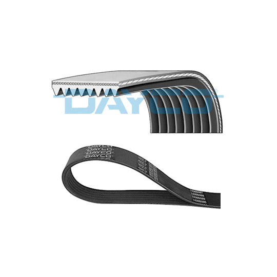 Dayco V-Ribbed Belt to suit Mercedes-Benz, Cummins, Fendt