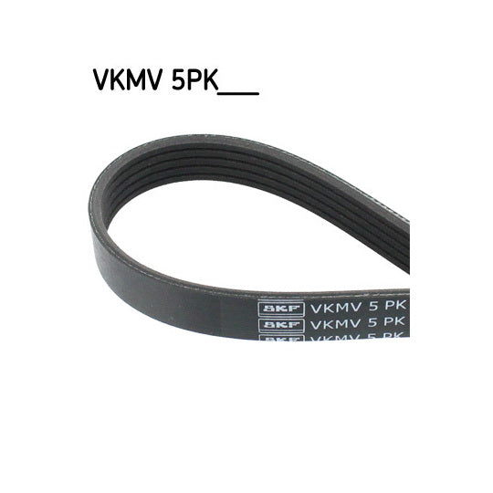 Skf V-Ribbed Belt to suit Toyota, Ford, BMW