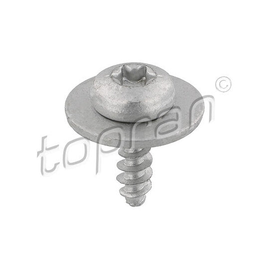 Topran Screw to suit Ford