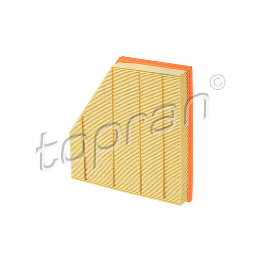 Topran Air filter to suit BMW