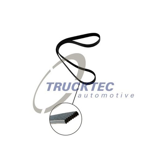 Trucktec Automotive V-Ribbed Belt to suit Ford, VAG