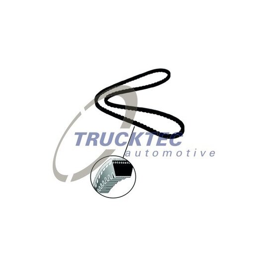 Trucktec Automotive 05.19.014 V-Belt to suit Toyota, Ford, Mercedes-Benz