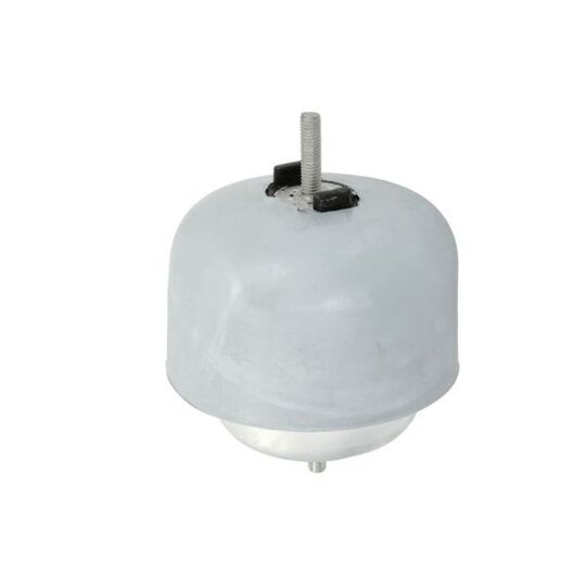 Reinhoch Engine Mounting to suit Audi, VW, VAG