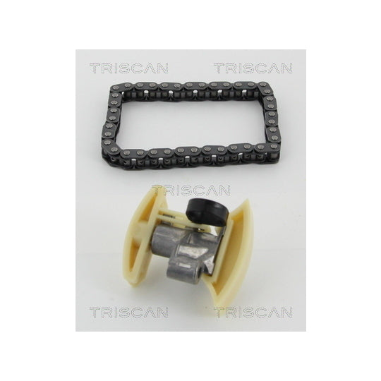 Triscan Timing Chain Kit to suit Ford, Peugeot, Citroën
