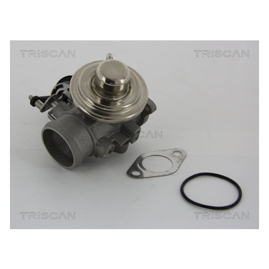 Triscan EGR Valve to suit Audi, VW, Hitachi