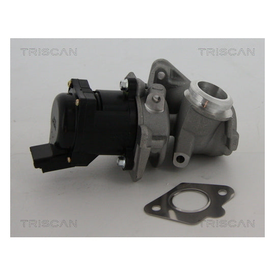 Triscan EGR Valve to suit Peugeot, Citroën, Fiat