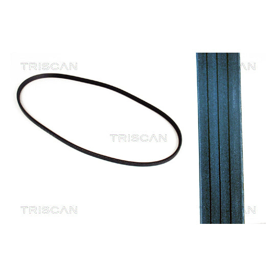 Triscan V-Ribbed Belt to suit Nissan