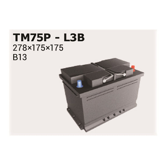 Ipsa Starter Battery to suit Mitsubishi, Toyota, Ford