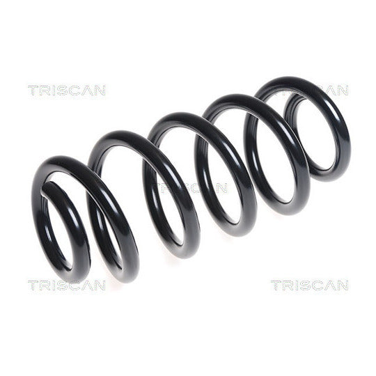 Triscan Coil Spring to suit Audi