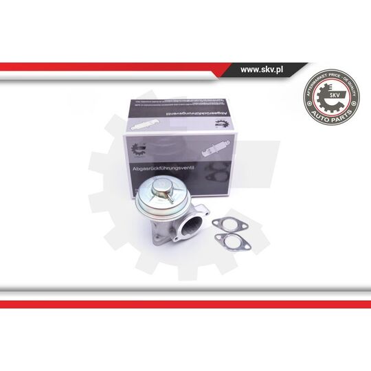 Esen Skv EGR Valve to suit Ford, Jaguar