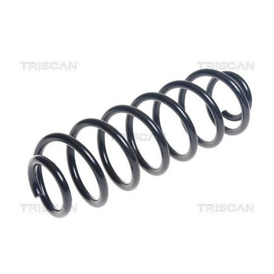 Triscan Coil Spring to suit Ford