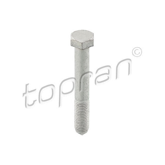 Topran Screw to suit Audi, VW, Cupra