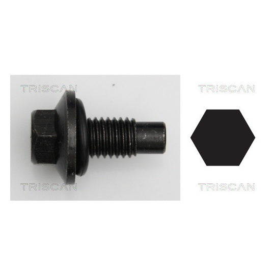 Triscan Sealing Plug, oil sump to suit Ford, Mazda, Fiat