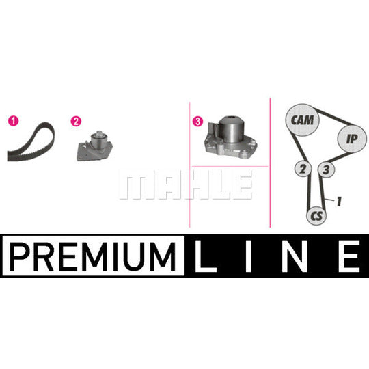 Mahle Water Pump & Timing Belt Set to suit Nissan, Renault