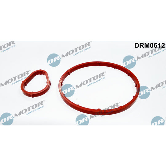 Dr.Motor Automotive Seal Set, vacuum pump to suit Ford, Peugeot, Citroën